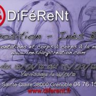 Vernissage Exposition Inès Barq – DiFéReNt – Mercredi 16 janvier 2013