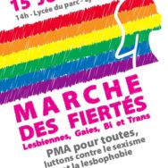Marche des Fiertés LGBT – Lyon – Samedi 15 juin 2013